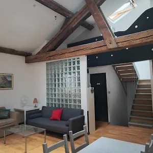 Loft Viarhona, Grand Loft En Centre-ville Privatunterkunft Lyon