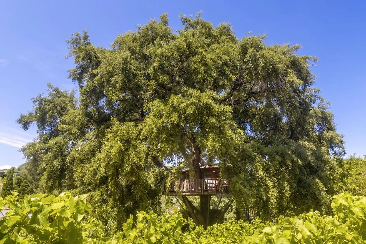 Chateau De Valmer La Croix-Valmer France