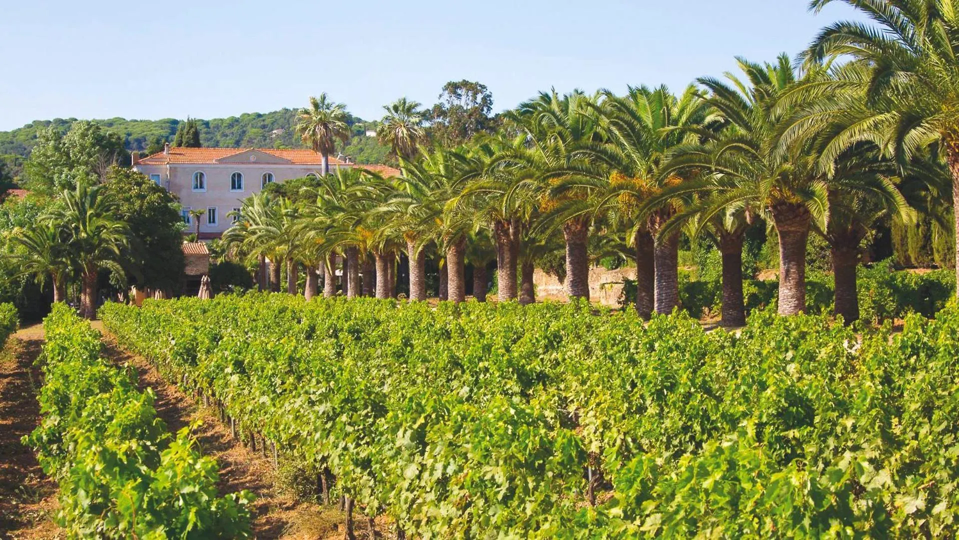 Chateau De Valmer La Croix-Valmer Hotel